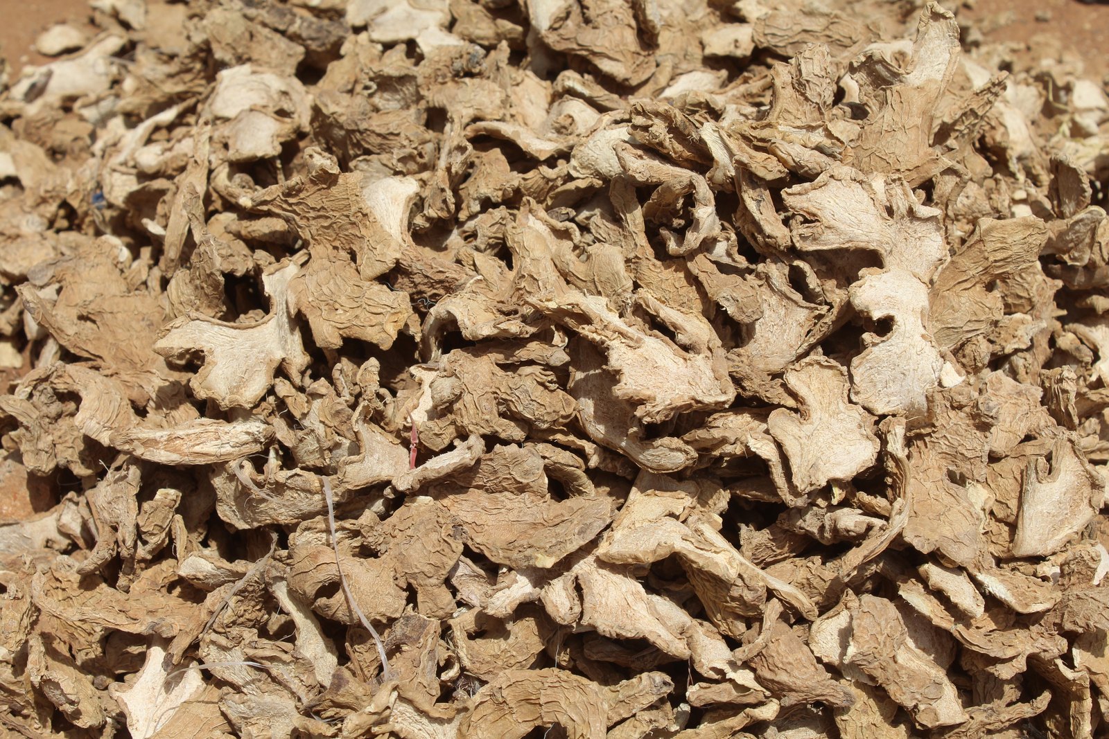 Ginger (Split & Whole) sourced in Nigeria for export