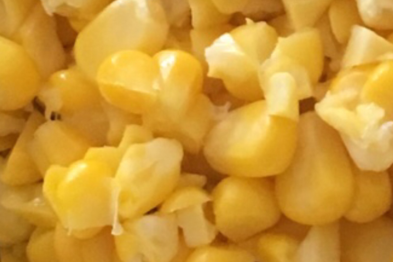 Yellow Maize sourced in Nigeria for export