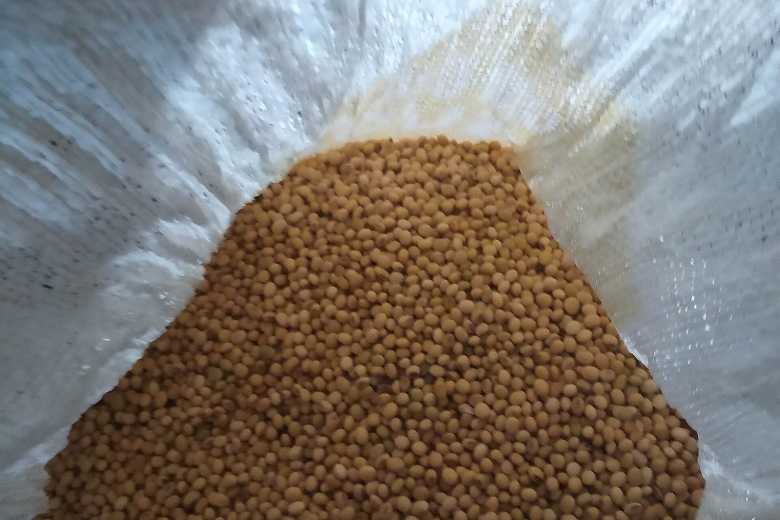 Soybean sourced in Nigeria for export